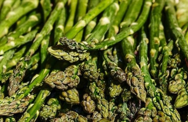 Can Guinea Pigs Eat Asparagus? Vet-Approved Facts & Nutritional Guide ...
