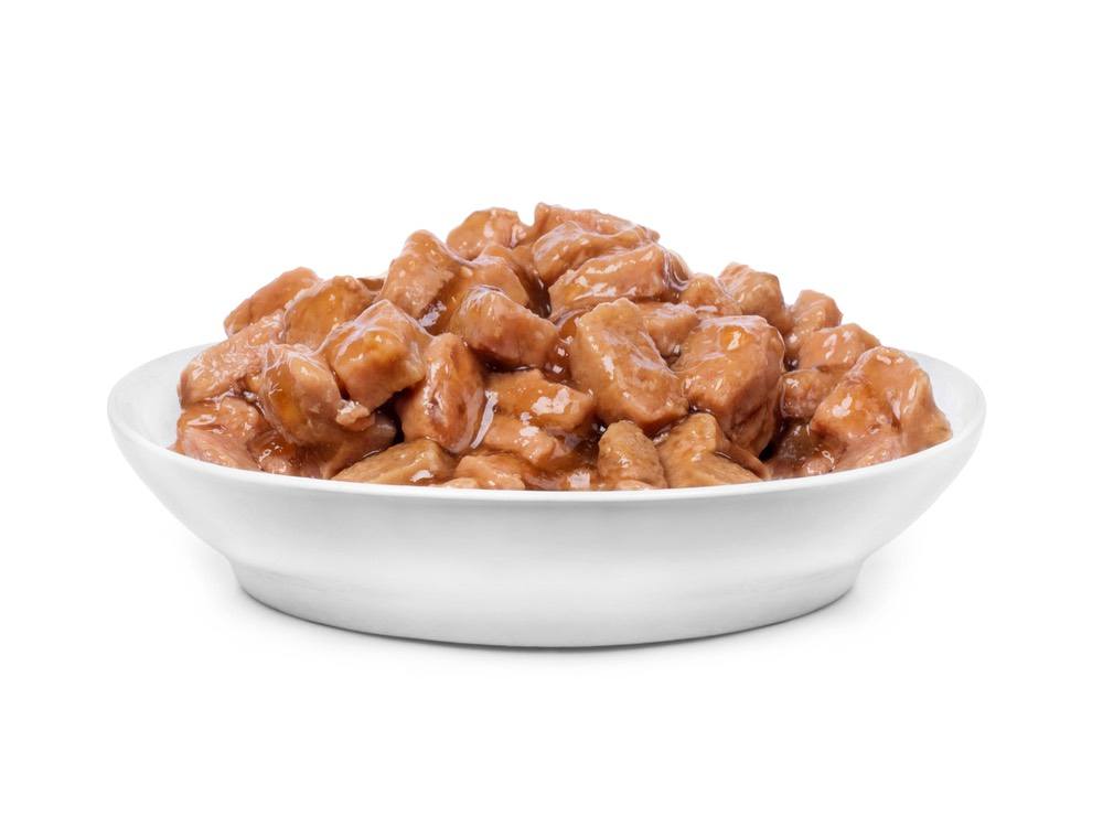 bowl of wet cat food
