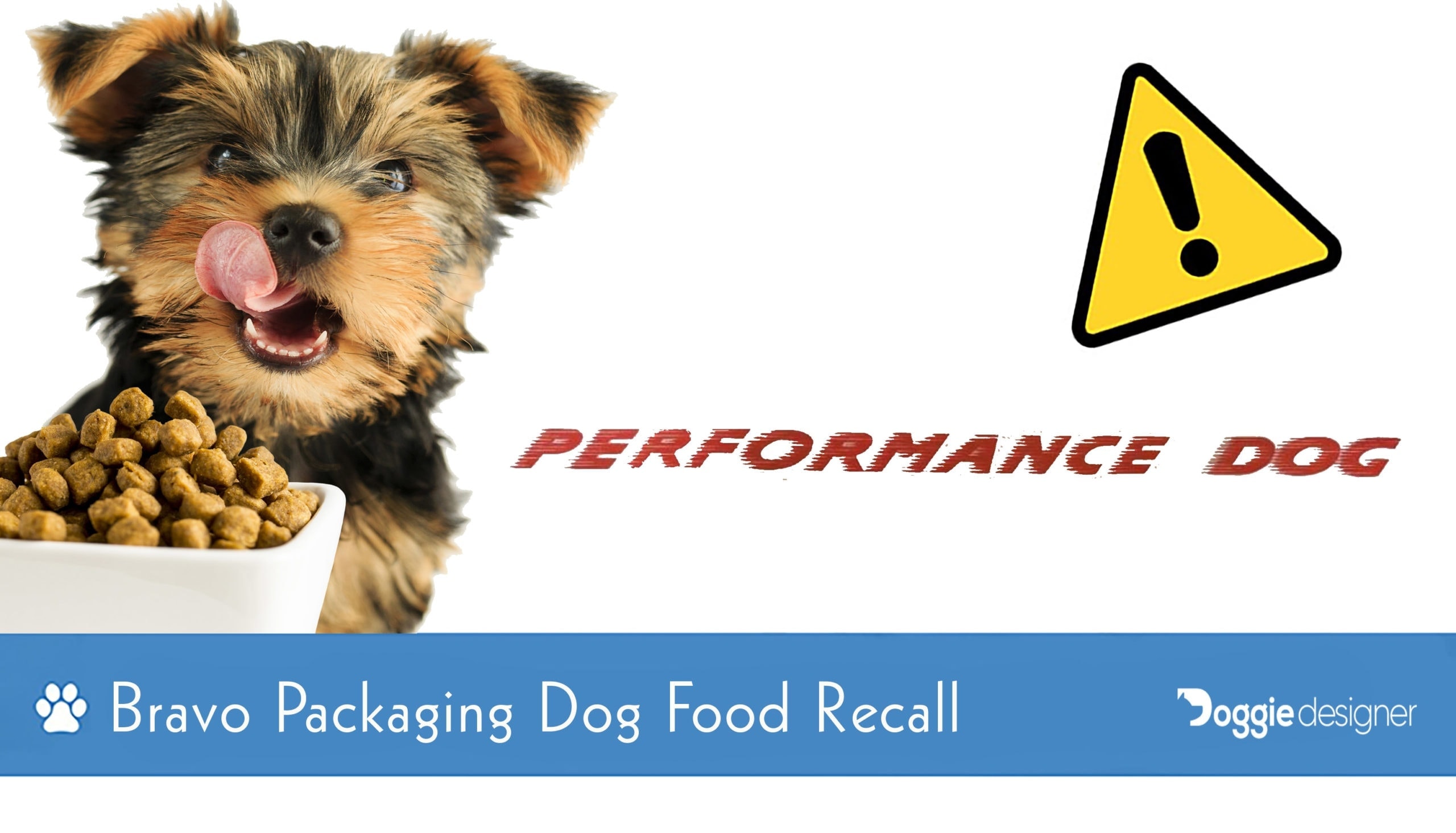 bravo dog food recall