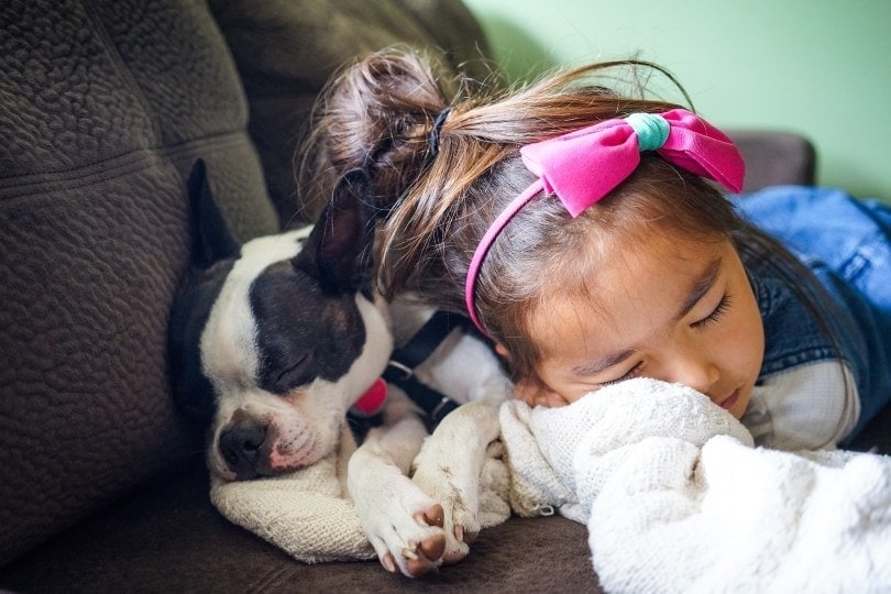 bulldog puppy sleeping next to a girl