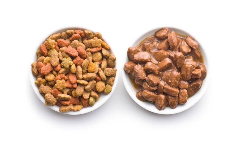 canned meat with sauce and dry kibble cat food