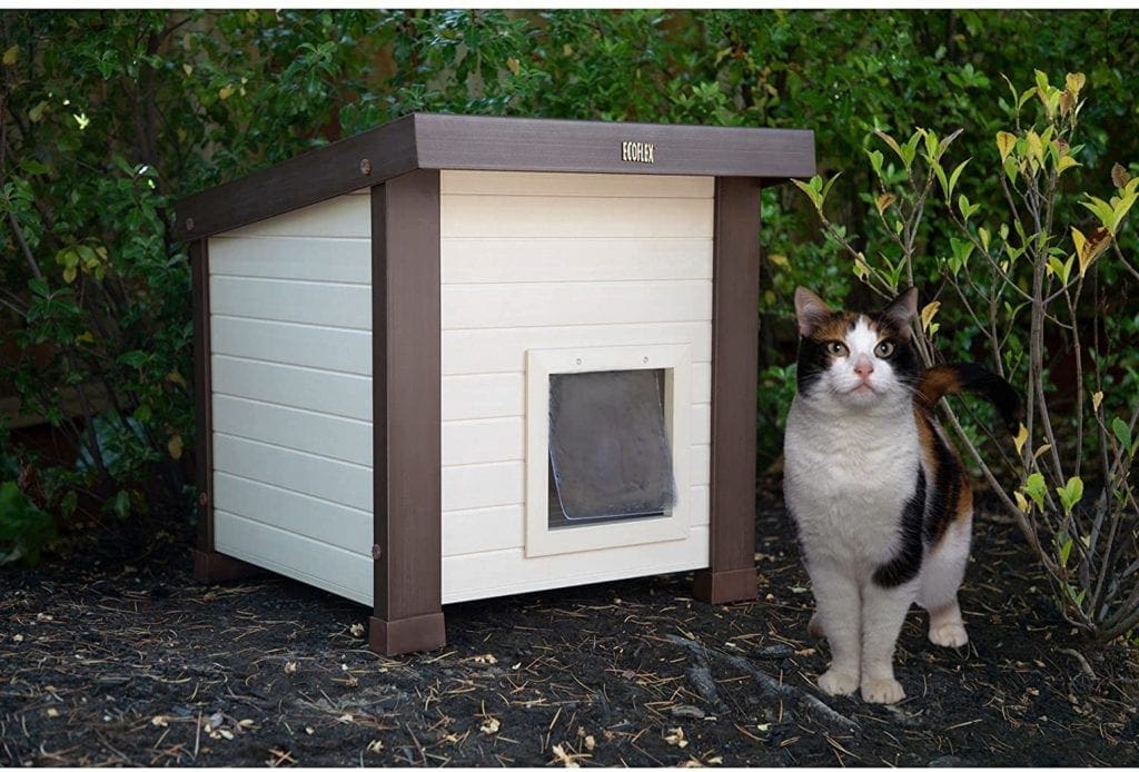 cat beside New Age Pet ecoFLEX Albany Outdoor Feral Cat