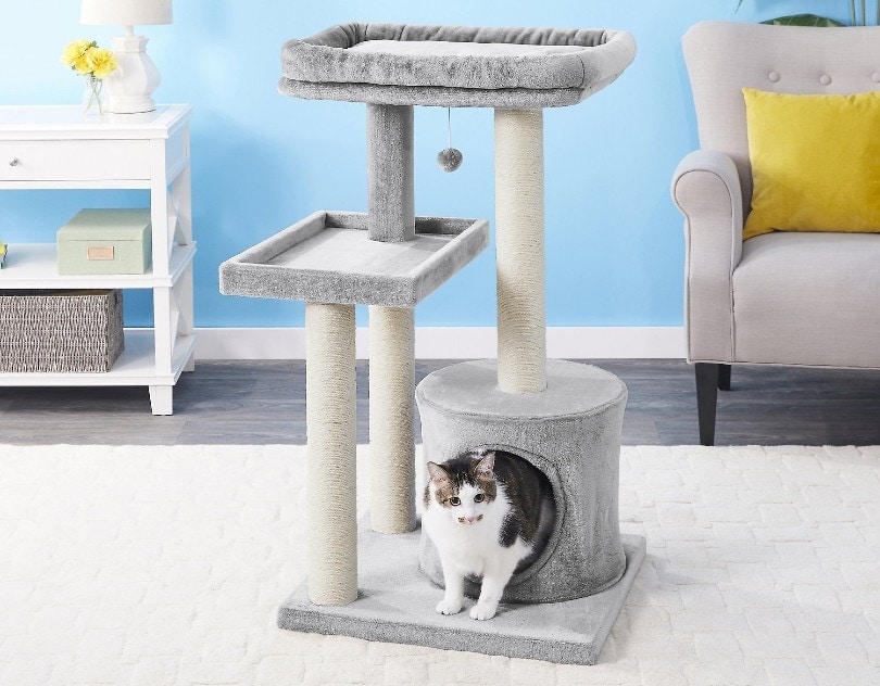 cat in her cat tree at home