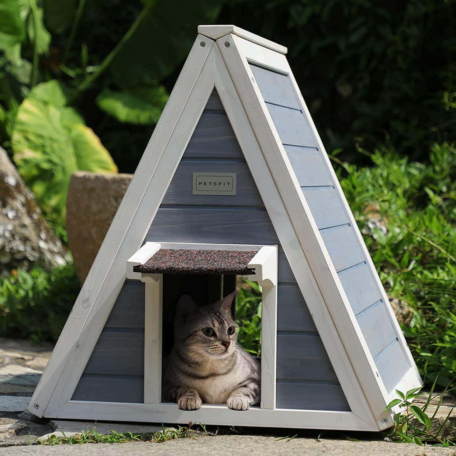 cat inside Petsfit Outdoor Cat House for Feral Kitties