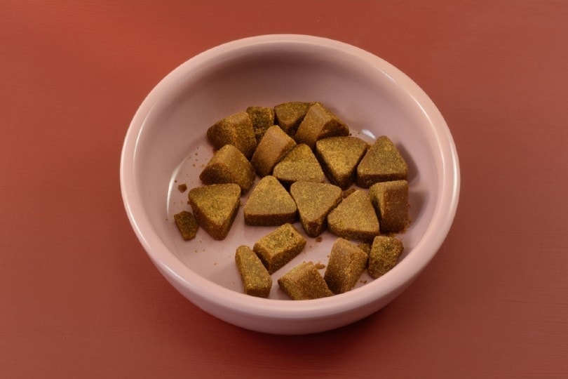 chewable tablets for dogs