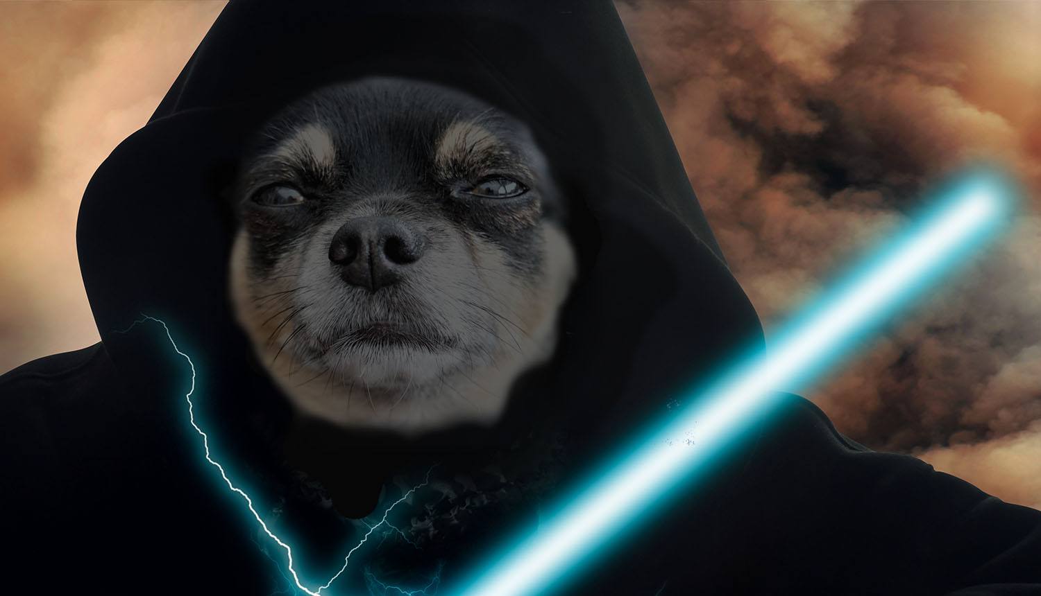 dog with light saber