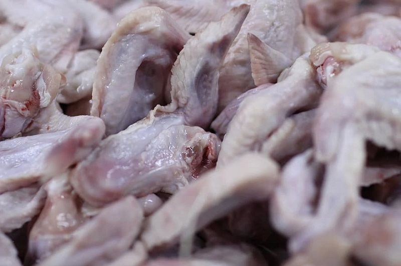 chicken