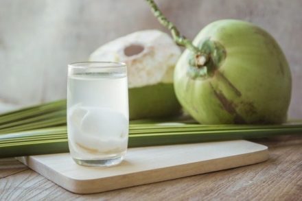 Can Dogs Drink Coconut Water? Nutrition Facts & FAQ Hepper Pet Resources