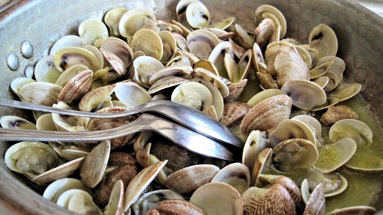 cooked clams