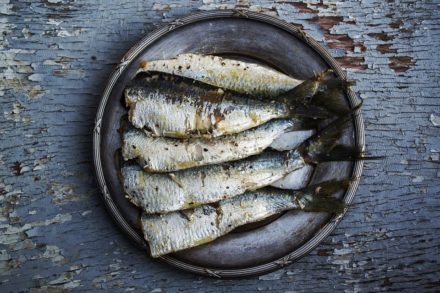 Can Cats Eat Sardines? Vet-Verified Nutrition Facts & FAQ Hepper Pet