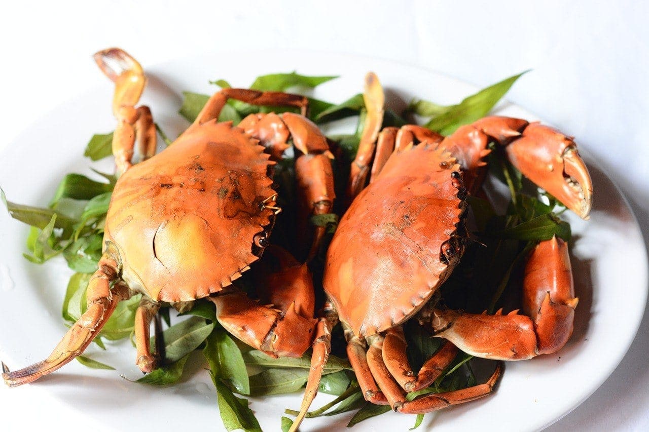 crab meat