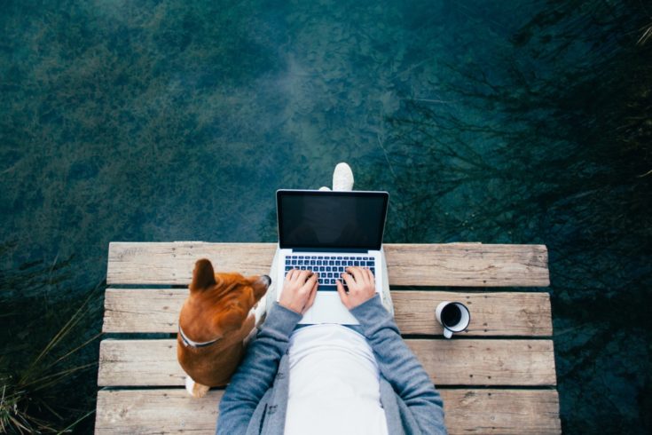 Dog with laptop