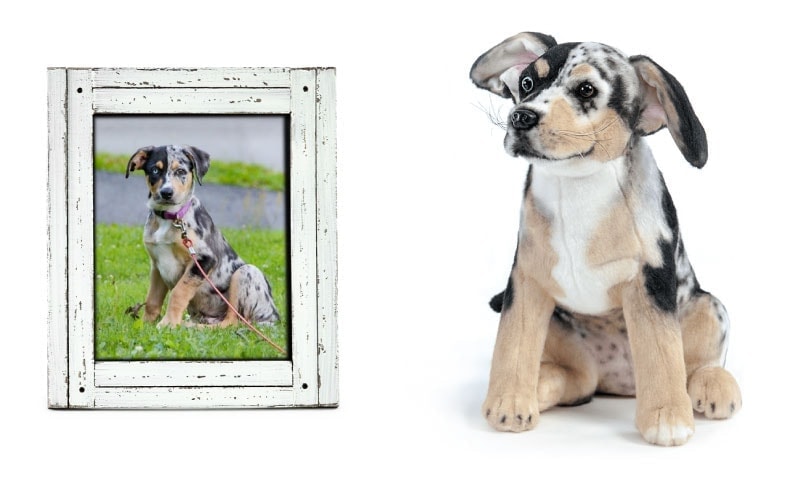 cuddle clone plush dog