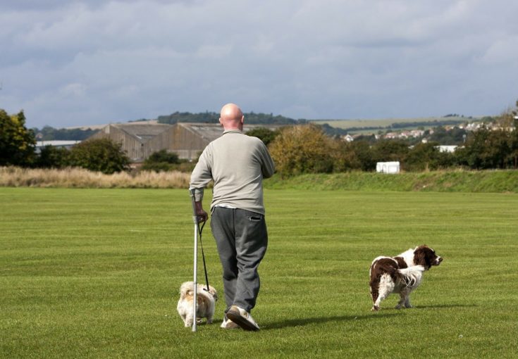 Tips for Crate Training a Dog With Separation Anxiety