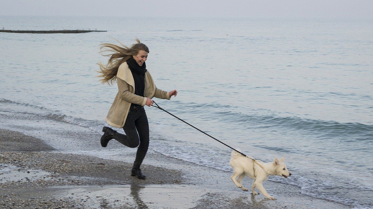 dog and lady at the beach