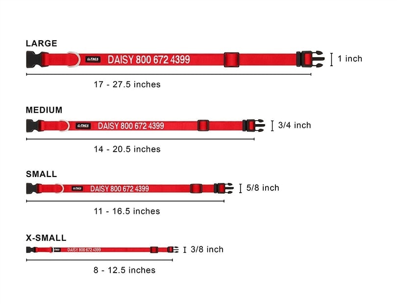 dog collar sizing