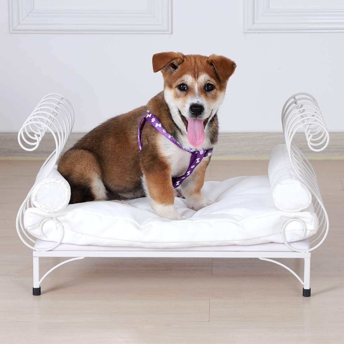 dog in BabyLand Metal Pet Bed Dog Lounge Sofa with Thick Cushion White