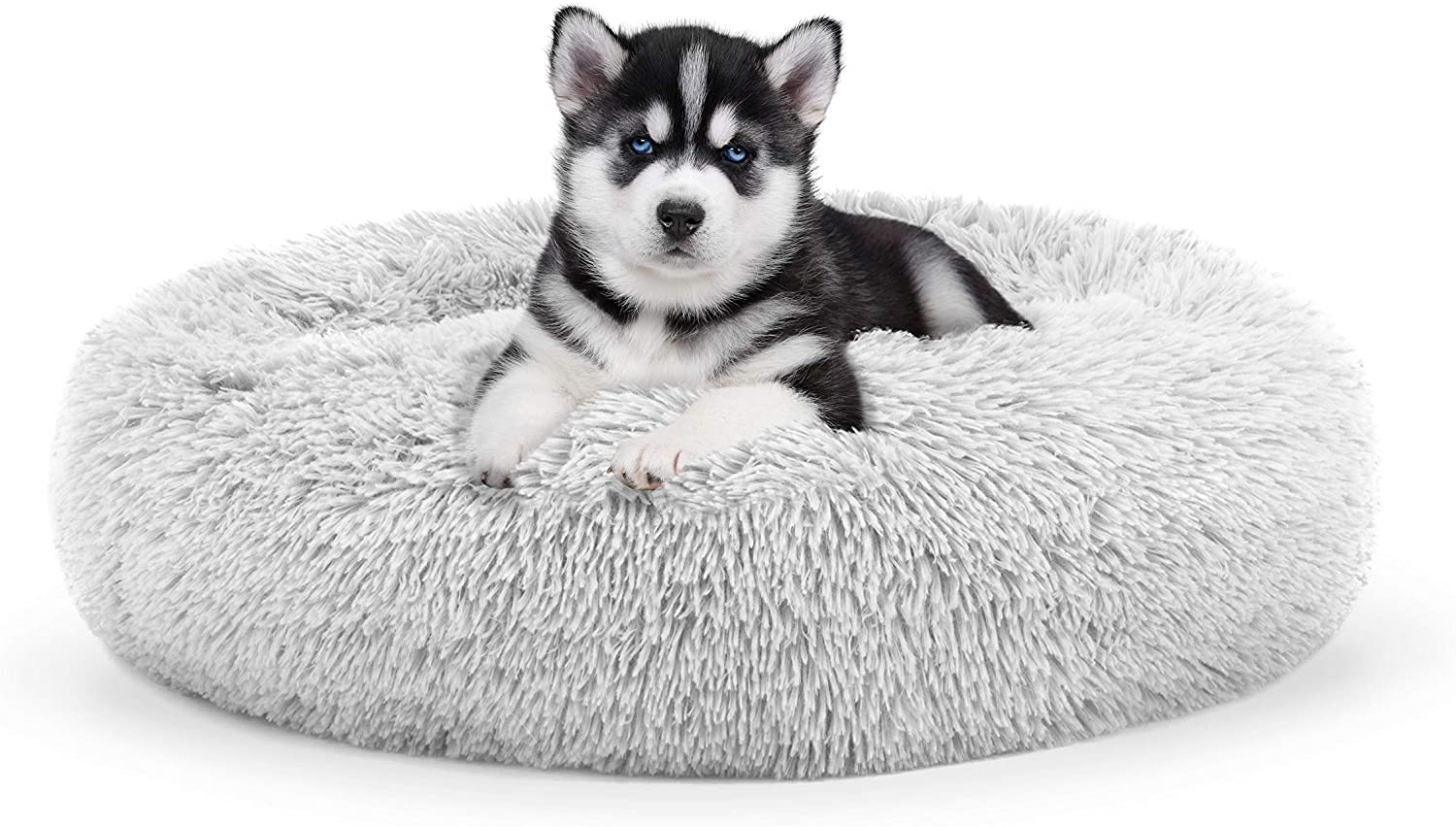 dog in The Dog’s Balls Original Sound Sleep Calming Bed