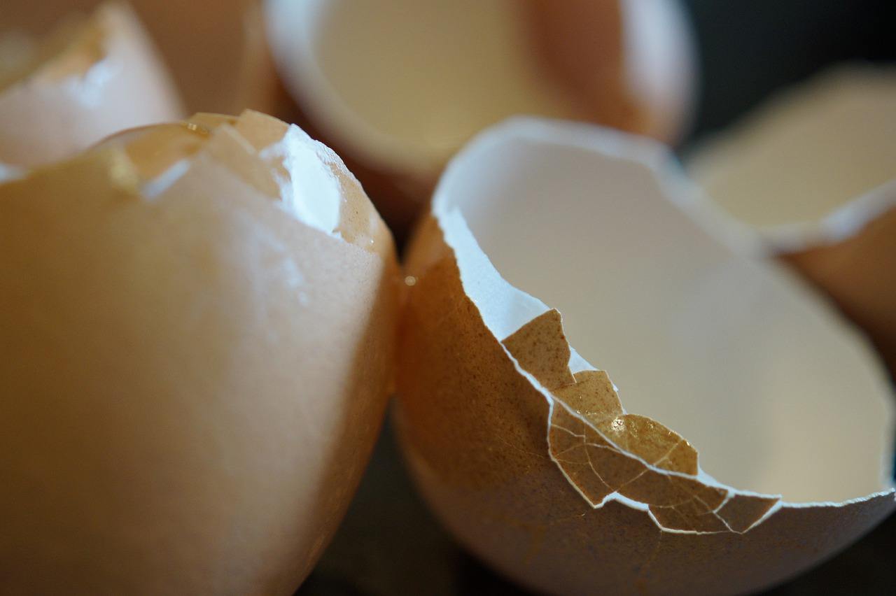 eggshell