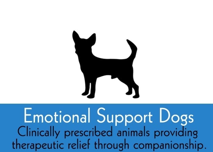 emotional support dogs