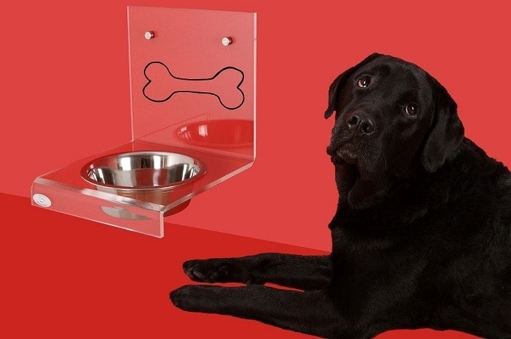 empty stainless steel bowl