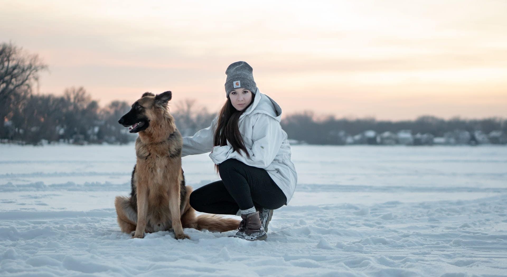 german shepherd during winter sitting beside a woman