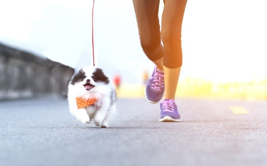 exercise