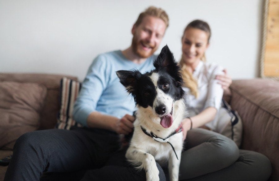 A family with a dog