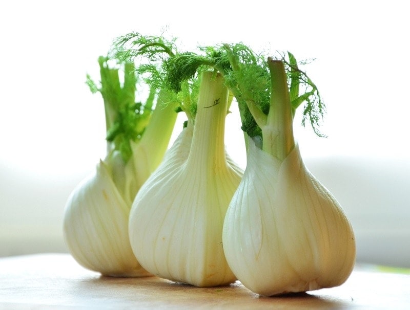 fennel