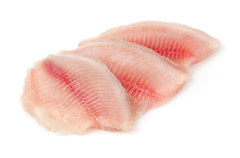fresh raw tilapia fish fillet
