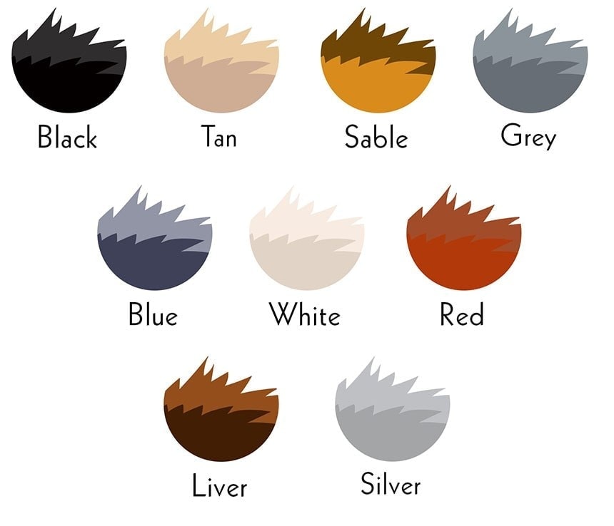 german shepherd colors-1