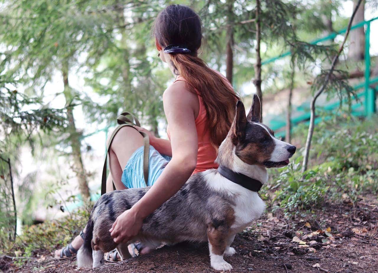 girl holding a corgi from behind