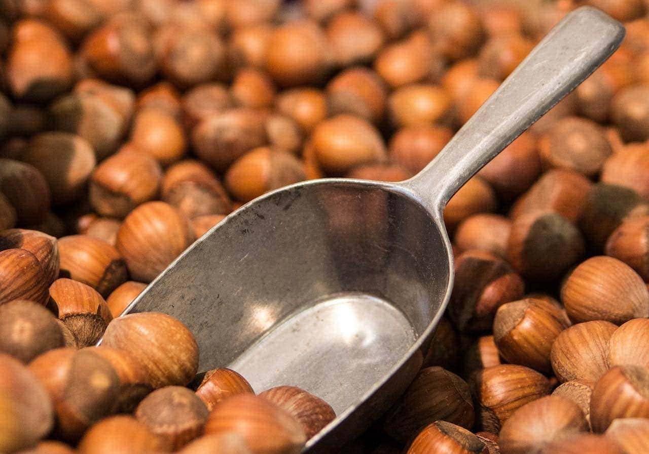 hazelnut with scoop