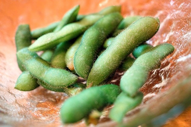 Can Dogs Eat Edamame