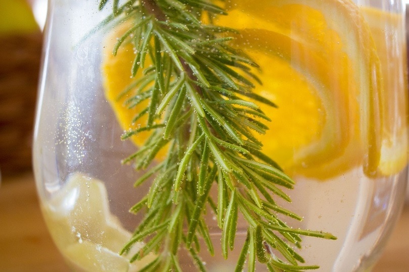 lemonade