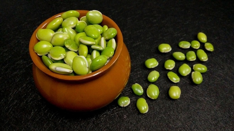 lima beans in the brown pot
