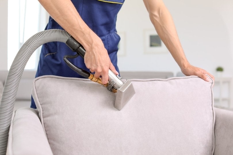 man cleaning couch using upholstery cleaner