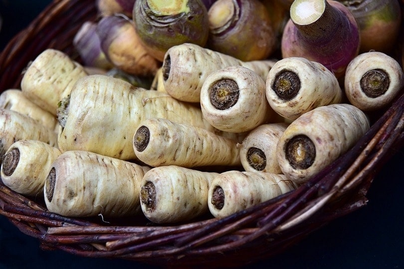 parsnips-pixabay