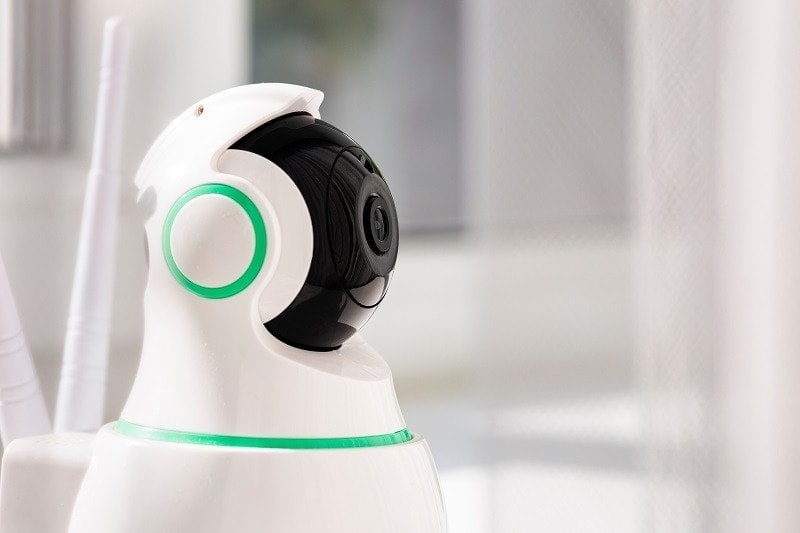 pet camera cctv