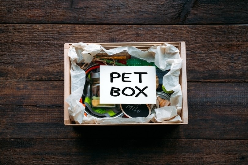 pet subscription box