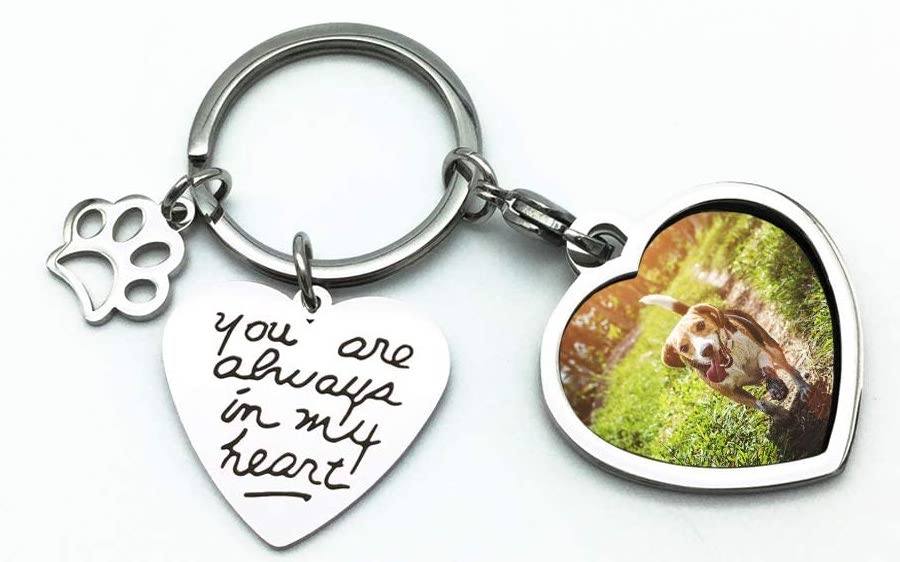 pet key chain