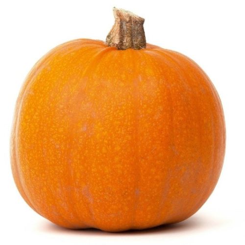 pumpkin