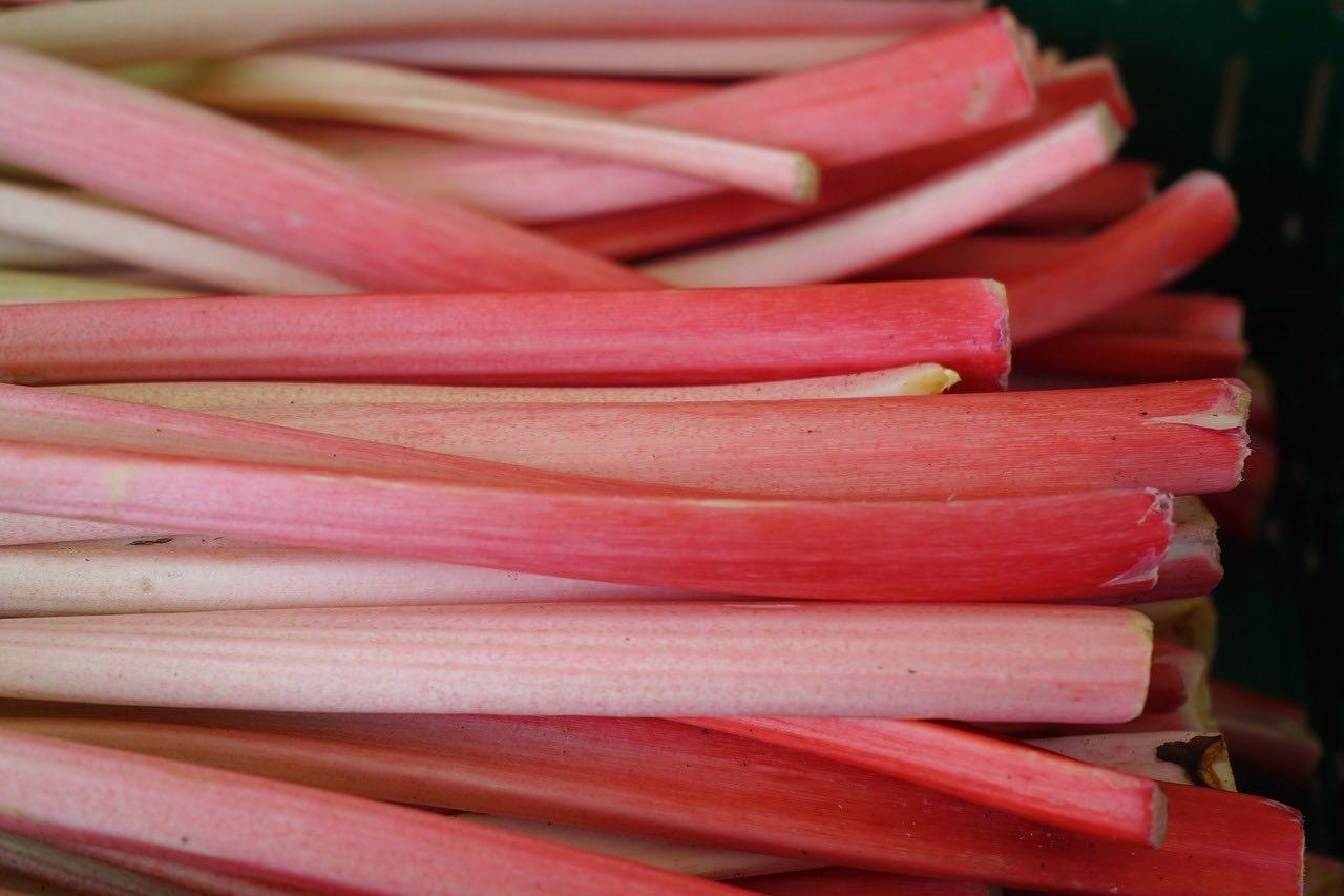 rhubarb stalks