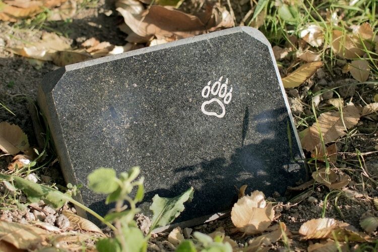 pet gravestone