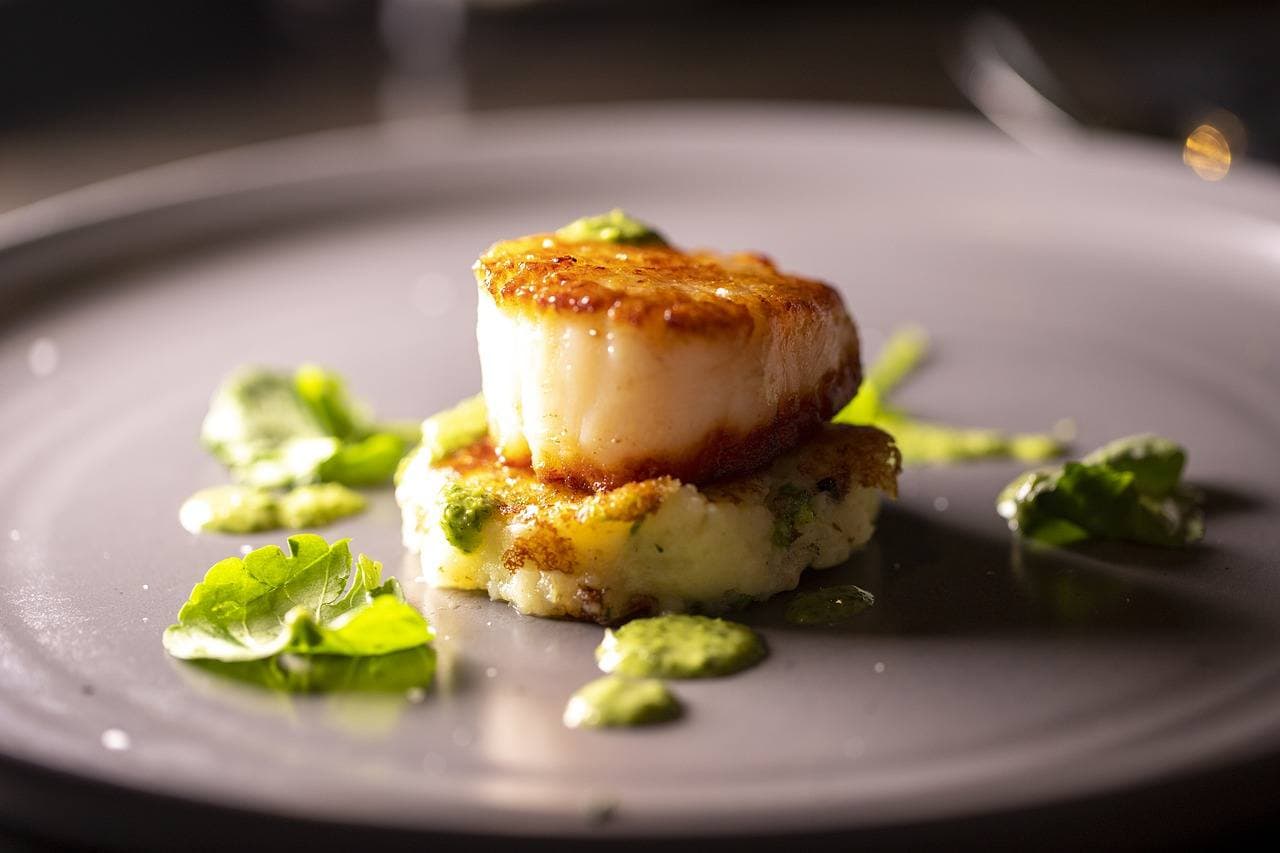 scallops