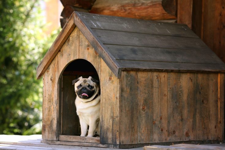 dog house plans