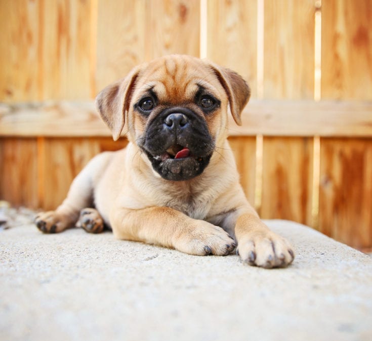 chug