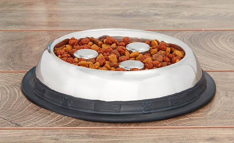 slow feeder bowl for cats