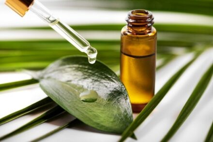 Picture of Is Tea Tree Oil Safe for Dogs? Vet-Reviewed Cautions & Safety Guide ...