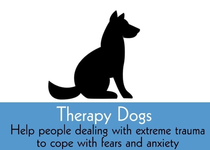 therapy dog